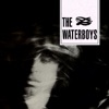 the Waterboys - I will not follow