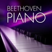 Beethoven Piano artwork
