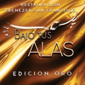 Bajo Tus Alas (Edición Oro) artwork