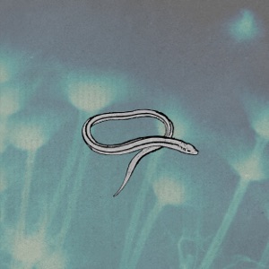 Bring on the Snakes (Remastered)