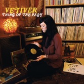 Vetiver - Hurry On Sundown