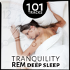 111 Tracks: Tranquility REM Deep Sleep, Therapy Music with Nature Sounds for Trouble Sleeping, Relaxing Lullabies, New Age Background Music - Various Artists