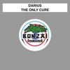 The Only Cure - EP