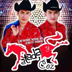 Patada Y Coz - El Pasito Perron