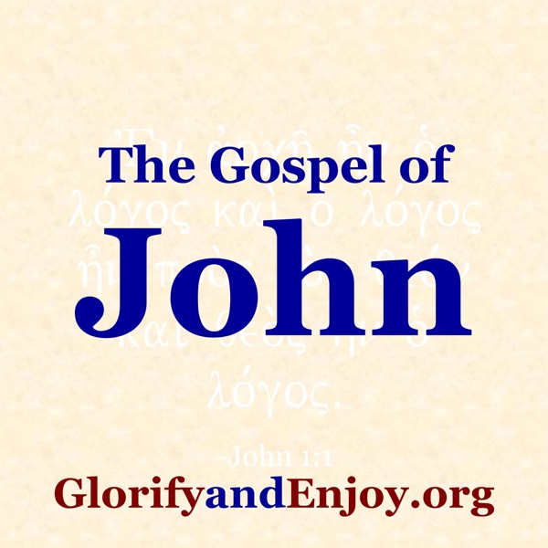 The Gospel of John - Greg Cook cover
