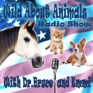 Wild About Animals Radio Show 1.6.2015 What the heck was that? Shake, rattle and roll into 2015!