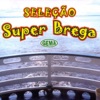 Seleção Super Brega, 2016