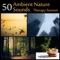 Oasis of Pure Meditation Nature Sounds - Relaxing Nature Sounds Collection lyrics