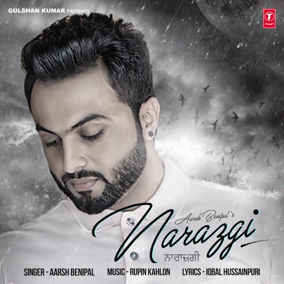Cover artwork for Narazgi