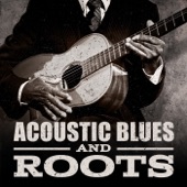 Acoustic Blues and Roots artwork