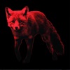 The Prodigy - Shut 'Em Up