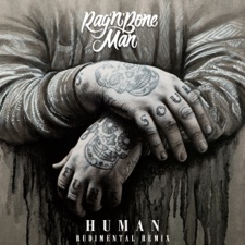 Human (Rudimental Remix) artwork