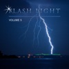 Flash Light, Vol. 5 artwork