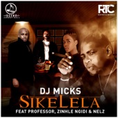 Sikelela (feat. Professor, Zinhle Ngidi & Nelz) artwork