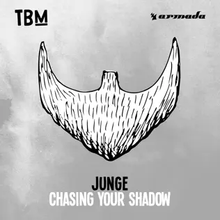 baixar álbum Junge - Chasing Your Shadow