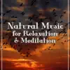 Natural Music for Relaxation & Meditation: Sound of Nature, Waves, Forest & Rain, Deep Concentration, Yoga Class & Home Spa album lyrics, reviews, download