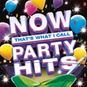 NOW That's What I Call Party Hits artwork