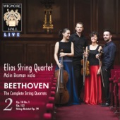String Quintet in C Major, Op. 29: I. Allegro moderato artwork