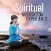 Spiritual Meditation Experience: Healing Music for Deep Peace, Zen Harmony, Mantras for Purify Your Soul, Serenity Music Relaxation, Awakening Your Divine Self album lyrics, reviews, download