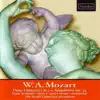 Mozart: Flute Concerti 1 & 2 / Symphony No. 33 album lyrics, reviews, download