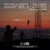 Stream & download What We Started (feat. BullySongs) - Single