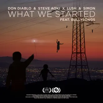 What We Started (feat. BullySongs) by Don Diablo, Steve Aoki & Lush & Simon song reviws