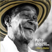 Paito y los Gaiteros de Punta Brava - La flor del melon, merengue de gaita