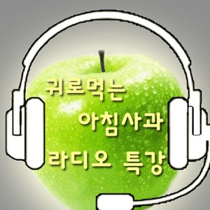 라디오 특강 15편 (꿈과 공부를 하나로 결합하라4부)