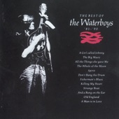 The Best of the Waterboys (1981-1990) artwork
