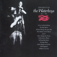 The Waterboys - The Best of the Waterboys (1981-1990) artwork