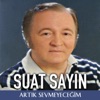 Artık Sevmeyeceğim