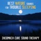 Pure Spa Massage Music - Deep Sleep Music Maestro lyrics
