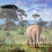Elephant Song artwork