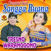 Tresno Waranggono artwork