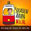 Ich fang die Sonne für dich ein - EP