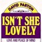 David Parton - Isn't she lovely