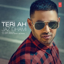 TERI AH cover art