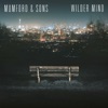 Mumford & Sons - Tompkins Square Park