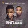 Take Am (Remix) [feat. Olamide] - Single album lyrics, reviews, download