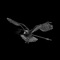 America - The Airborne Toxic Event lyrics