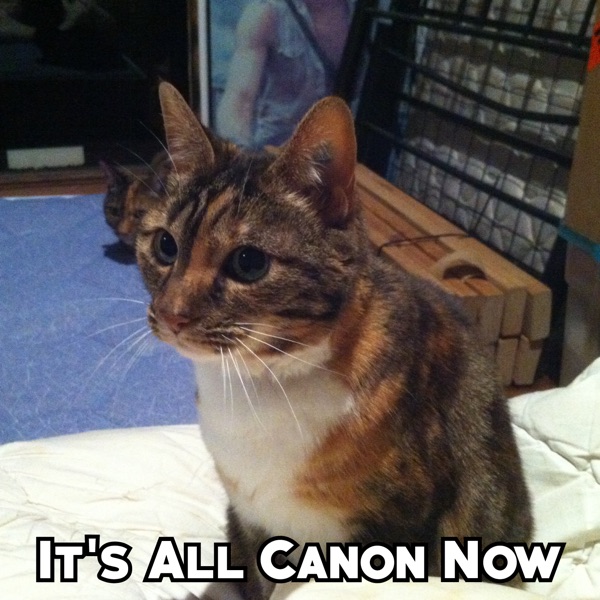 It's All Canon Now cover