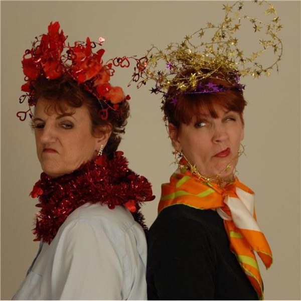 The Midlife Gals; Necessary Insanity cover