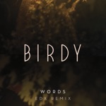 Birdy - Words (EDX Remix)