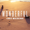 Wonderful - Chris Malinchak