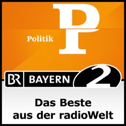 SPD-Mitgliederentscheid, Online-Anzeigenerstattung, Rückenprobleme