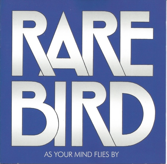Cover artwork for Hammerhead