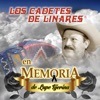 Los Cadetes de Linares - Un Viejo Amor