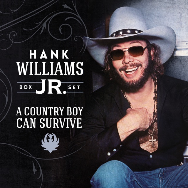 Hank Williams, Jr. A Country Boy Can Survive (Box Set) Album Cover