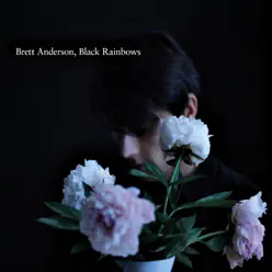 Black Rainbows - Brett Anderson