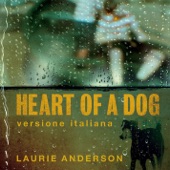 Laurie Anderson - Flusso (Italian edition)